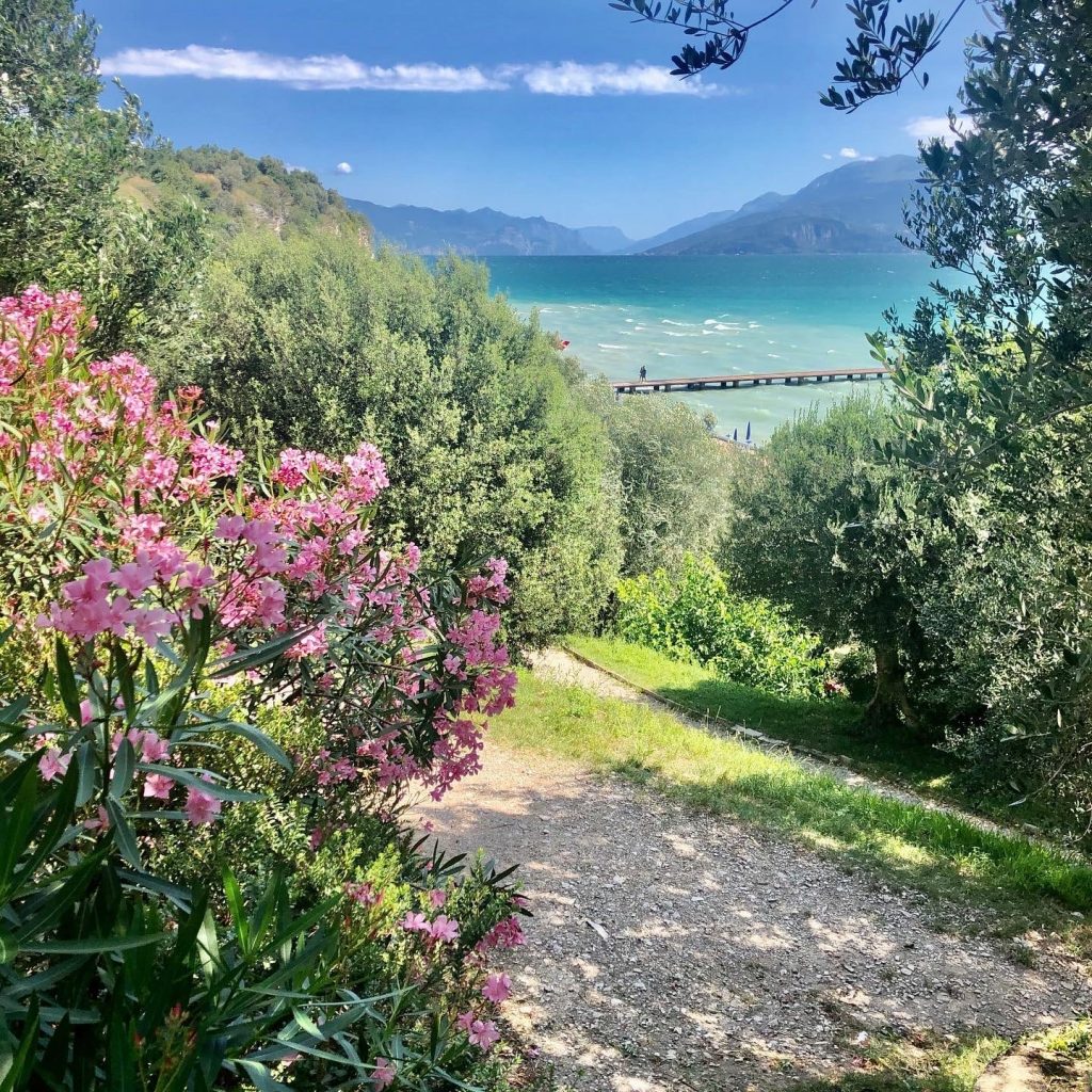 Beautiful green flowers and plants in front of crystal-clear Lago di Garda lake in north of italy. See the best parts of italy on our italy road trip itinerary.