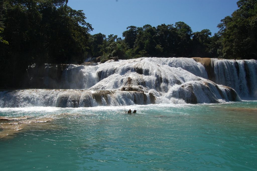 Agua Azul waterfalls in Chiapas, Mexico. Great sight to see on a mexico road trip.