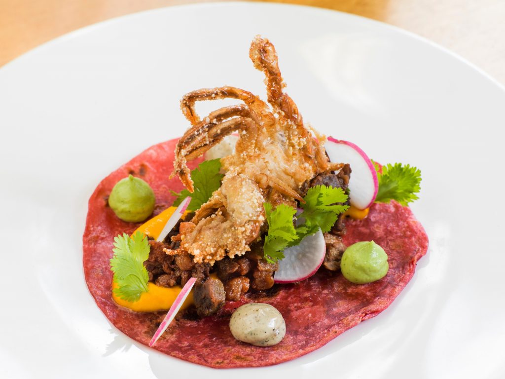 Surf and Turf Taco at Don Sanchez is a modern take on Mexican cuisine. Don Sanchez is an award-winning restaurant in San Jose del Cabo by Todd Chapman.
