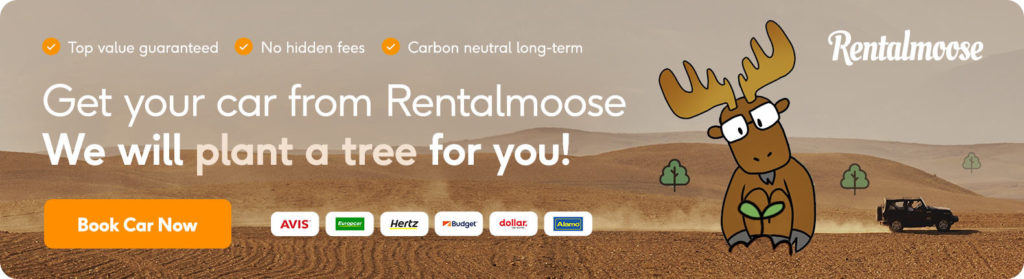 car-rental-insurance-in-mexico-a-comprehensive-guide-rentalmoose